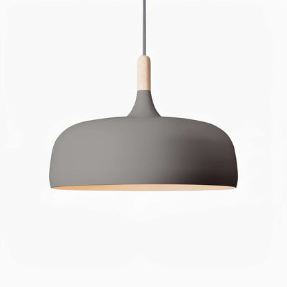 Pendant Light in Acorn Shape
