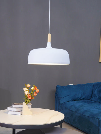 Pendant Light in Acorn Shape