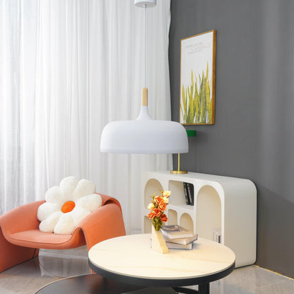 Pendant Light in Acorn Shape