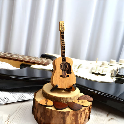 Guitar Pick Organizer Box for Acoustic Instruments