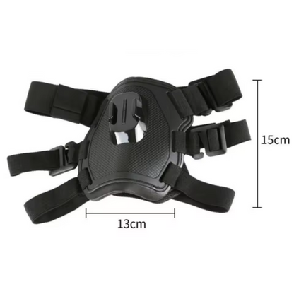 360° View Dog Harness for Adventurous Pups