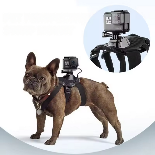 360° View Dog Harness for Adventurous Pups