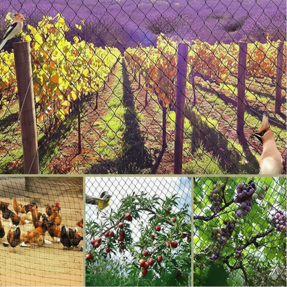 Heavy-Duty Garden Netting for Protecting Plants and Orchards