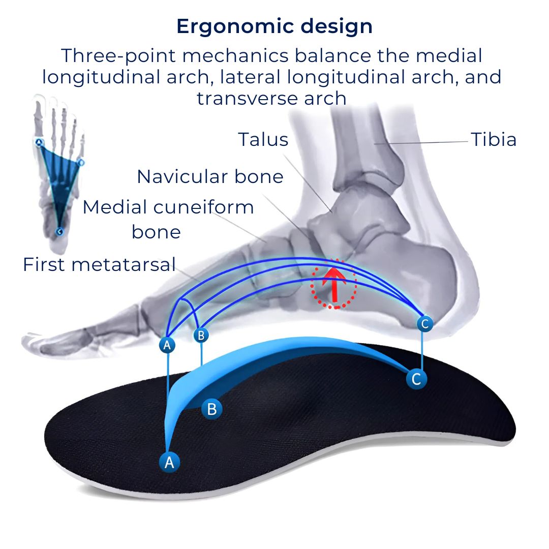 Comfortable Shoe Insoles for Pronation Support and Foot Stability
