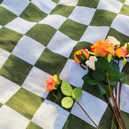 Versatile Fringe-Trimmed Picnic Blanket for Every Season