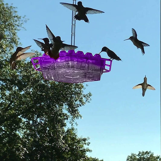 Ant-Proof Hummingbird Feeder with 30 Ports and UV-Resistant Finish