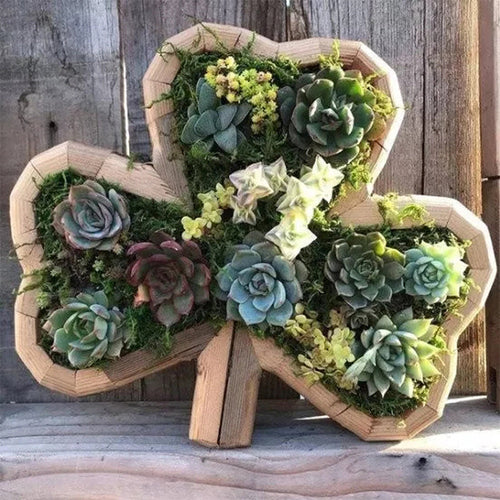 Succulent Garden Arrangement with Animal Figurines