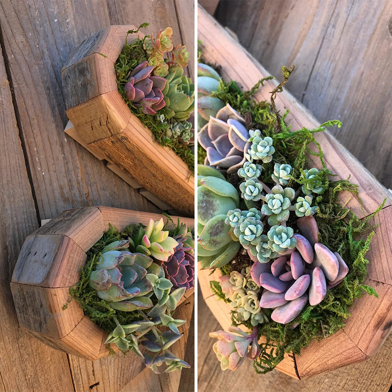 Succulent Garden Arrangement with Animal Figurines