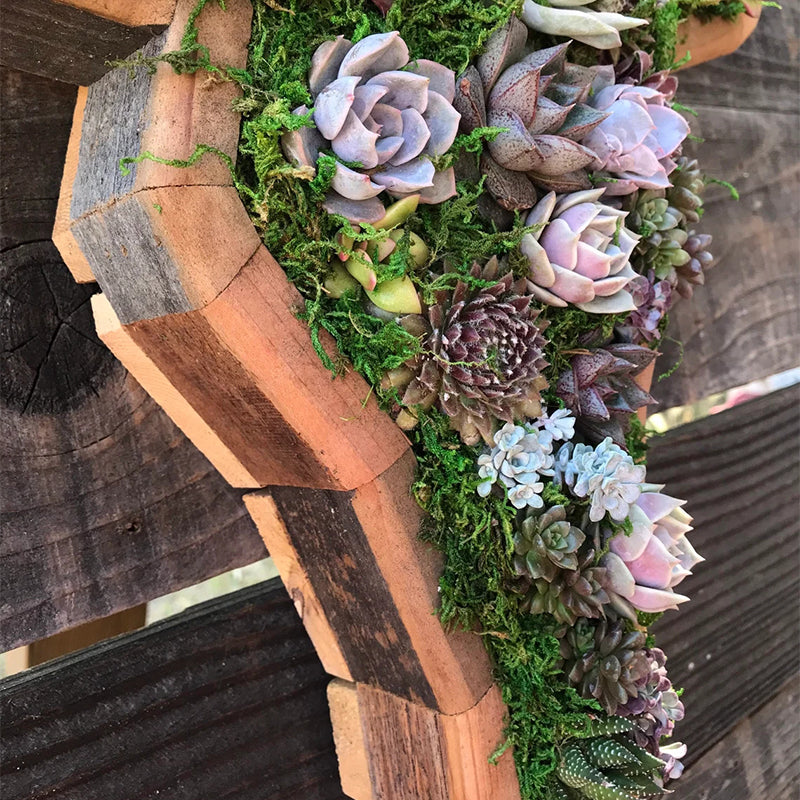 Succulent Garden Arrangement with Animal Figurines