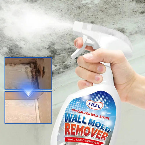 Ultimate Mold Eliminator Spray – Protect Your Home Effortlessly