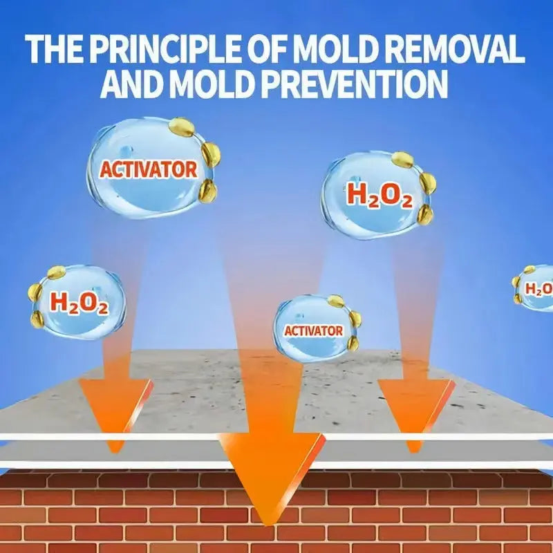 Ultimate Mold Eliminator Spray – Protect Your Home Effortlessly