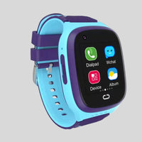 Blue/Purple