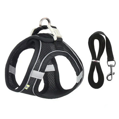 Explorer Cat Harness and Leash – Custom Fit with Reflective Safety