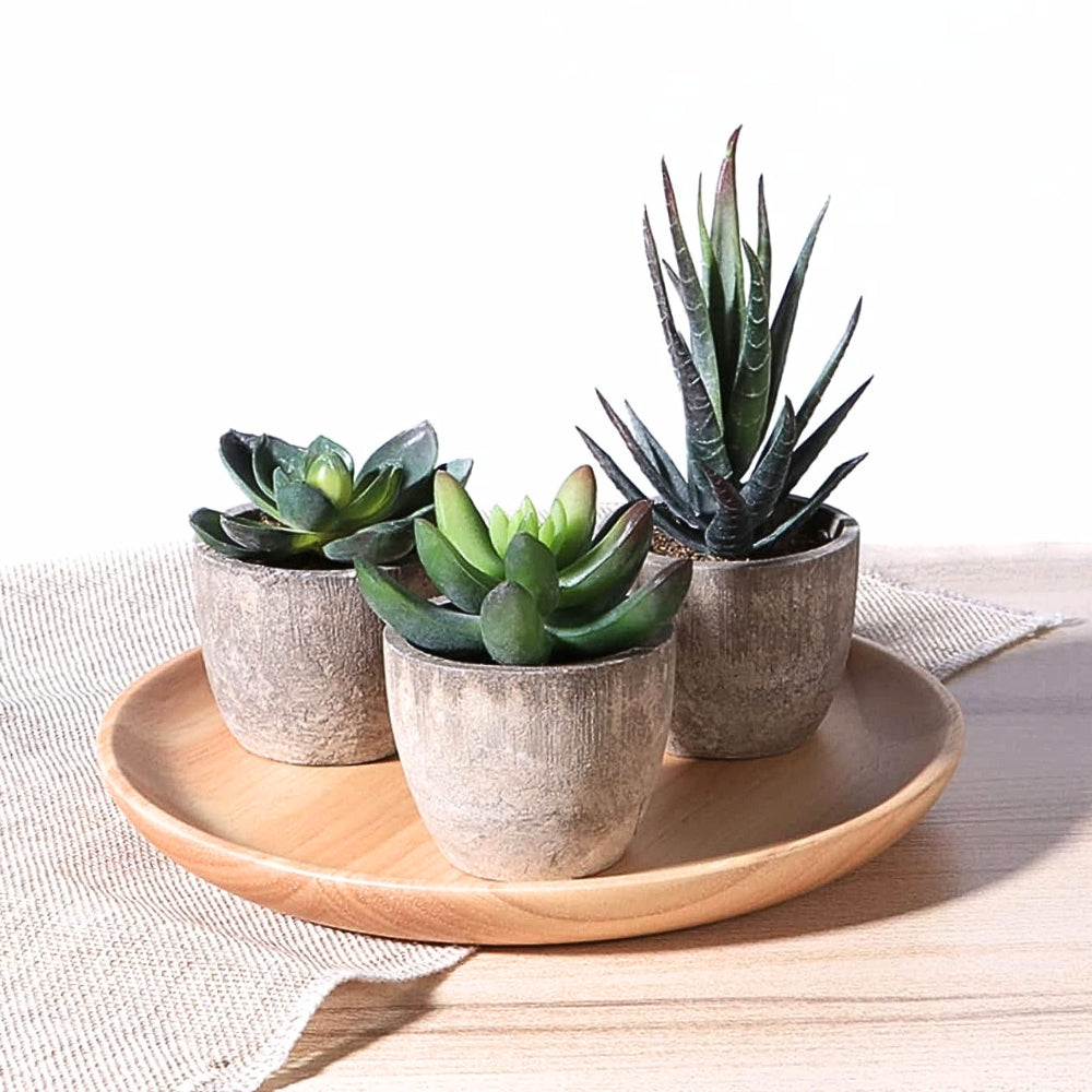 Evergreen Faux Succulent for Timeless Decor