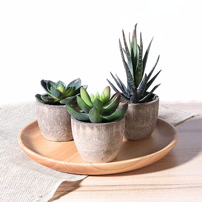 Evergreen Faux Succulent for Timeless Decor