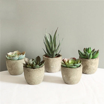 Evergreen Faux Succulent for Timeless Decor