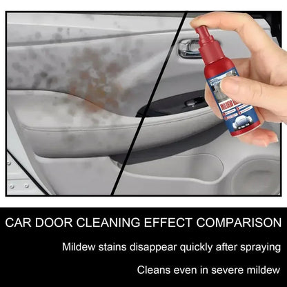 Rapid Mold Remover Spray for Interior Surfaces