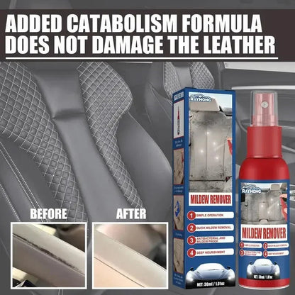 Rapid Mold Remover Spray for Interior Surfaces