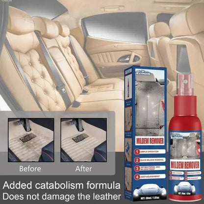 Rapid Mold Remover Spray for Interior Surfaces