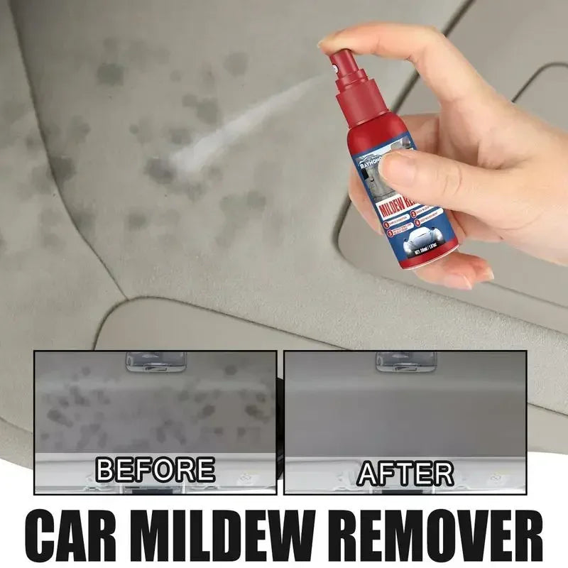 Rapid Mold Remover Spray for Interior Surfaces