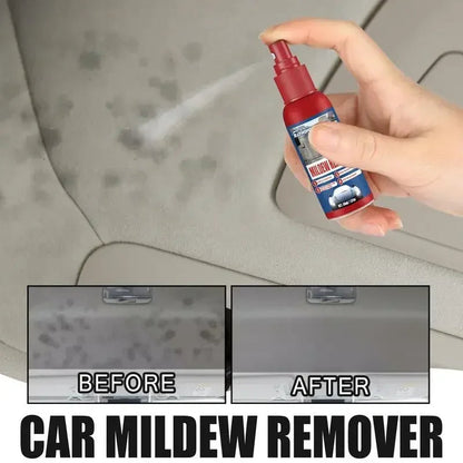 Rapid Mold Remover Spray for Interior Surfaces