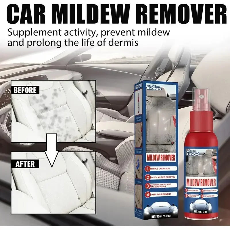 Rapid Mold Remover Spray for Interior Surfaces