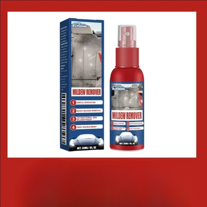 Rapid Mold Remover Spray for Interior Surfaces