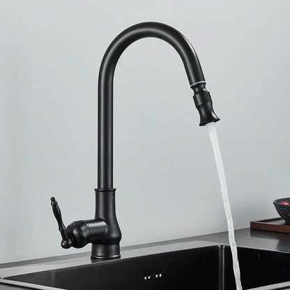 Flexible Kitchen Faucet Upgrade with Pull-Out Feature