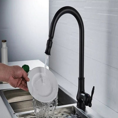 Flexible Kitchen Faucet Upgrade with Pull-Out Feature