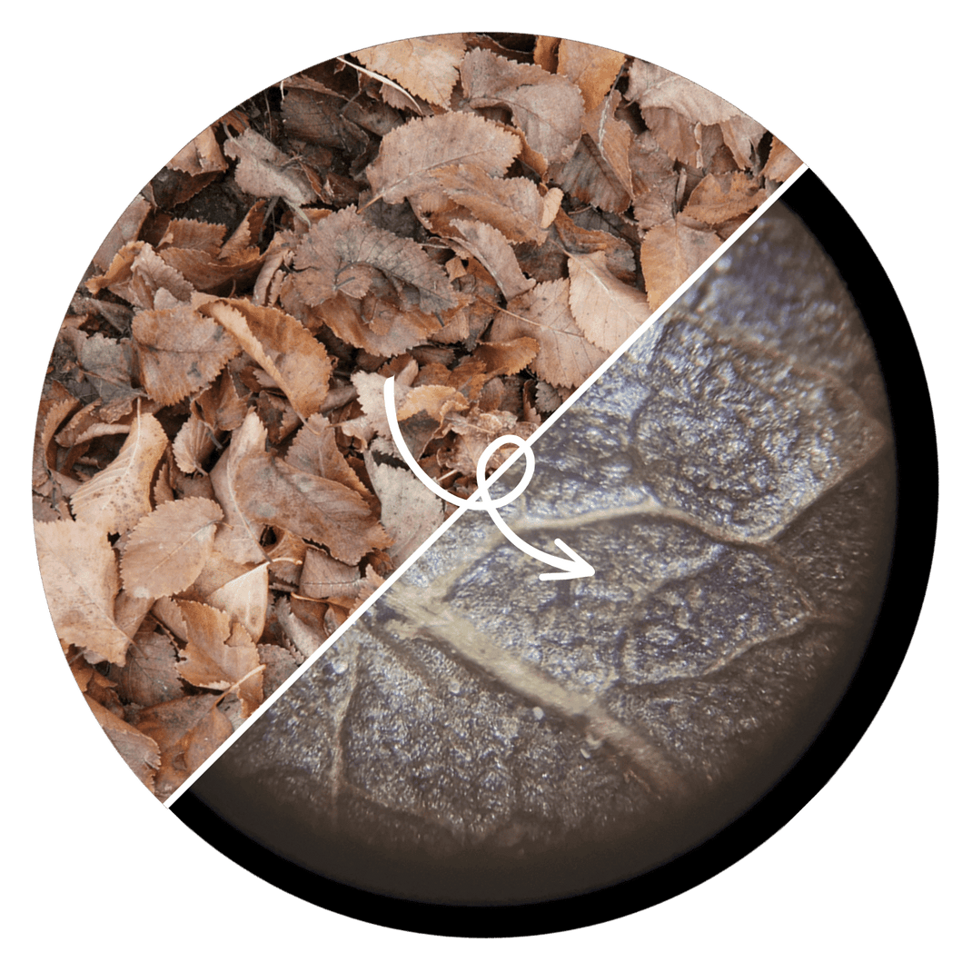 Digital Mini Microscope – Explore the Hidden World