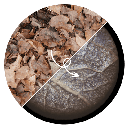 Digital Mini Microscope – Explore the Hidden World