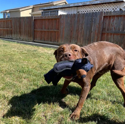 IndestructoPaw™ – Unbreakable Fun for Your Happy, Healthy Dog