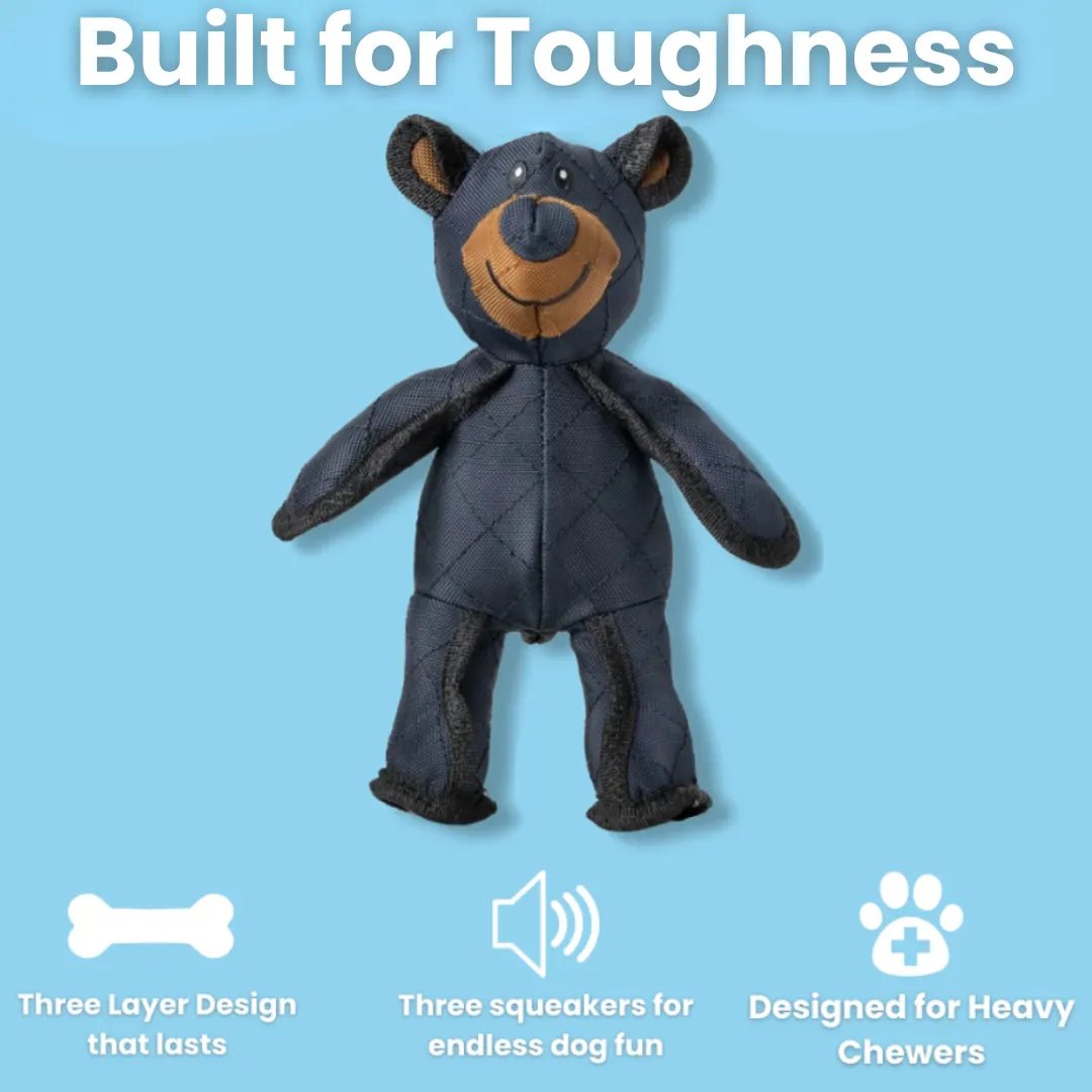 IndestructoPaw™ – Unbreakable Fun for Your Happy, Healthy Dog