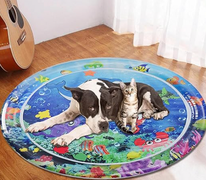 AquaPlay™ – Interactive Splash Play Mat for Cats