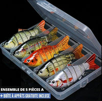 5 lures with box