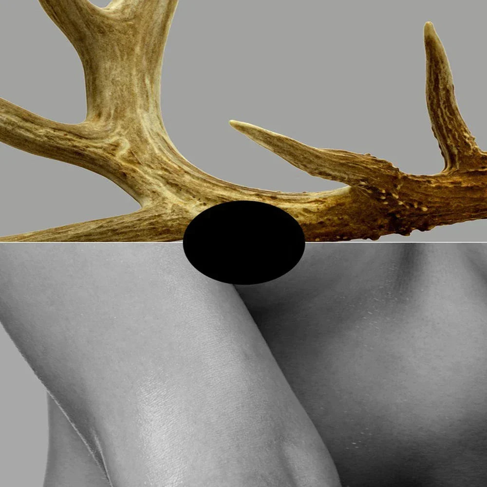 Nordic Canvas Print of Antlered Girl in Black, White, and Gold for Home Decor