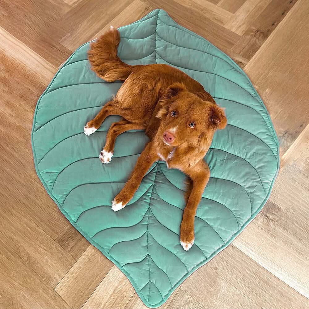 Leaf Shaped Dog Blanket for Comfort and Home Decor