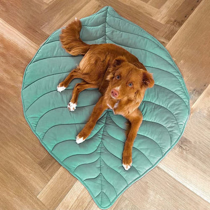 Leaf Shaped Dog Blanket for Comfort and Home Decor