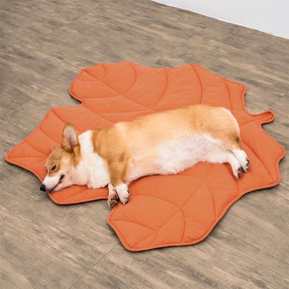 Leaf Shaped Dog Blanket for Comfort and Home Decor