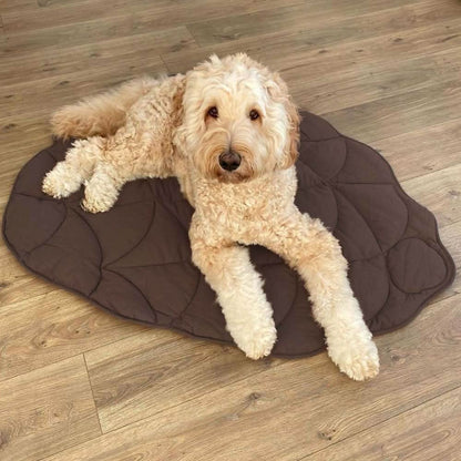 Leaf Shaped Dog Blanket for Comfort and Home Decor