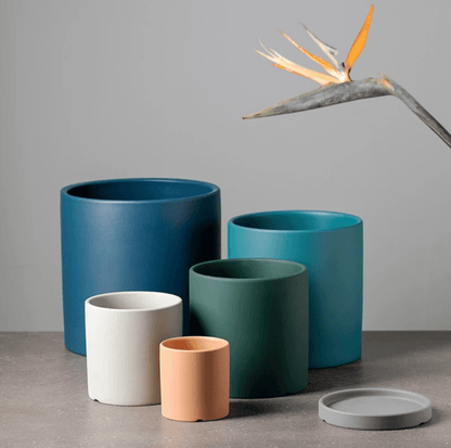 Elegant Ceramic Planter with Draining Tray for Healthy Roots