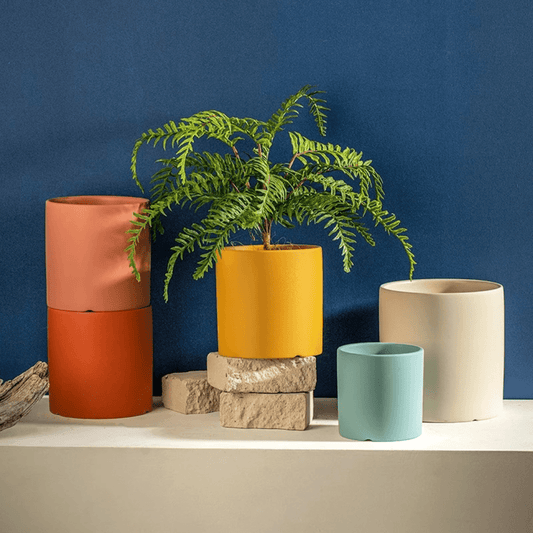 Elegant Ceramic Planter with Draining Tray for Healthy Roots