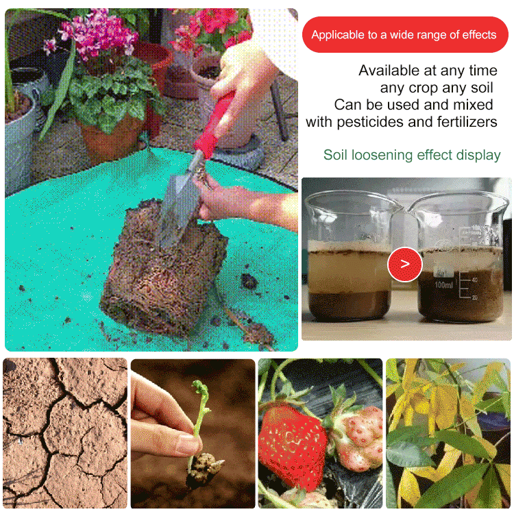 RootRevive Powder | Potassium Mineral Blend for Gardens & Planters