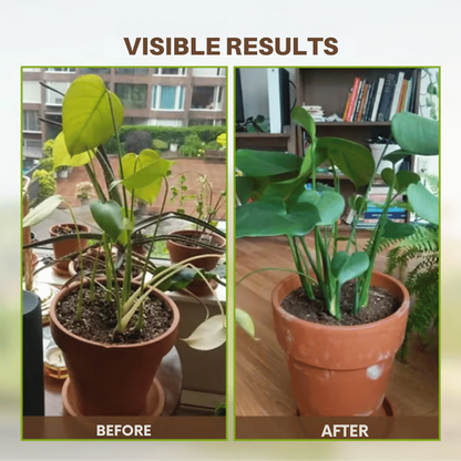 RootRevive Powder | Potassium Mineral Blend for Gardens & Planters