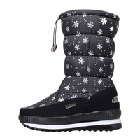 Black Snowflake