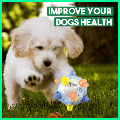 Joyful Jumps – The Ultimate Playtime Ball for Dogs