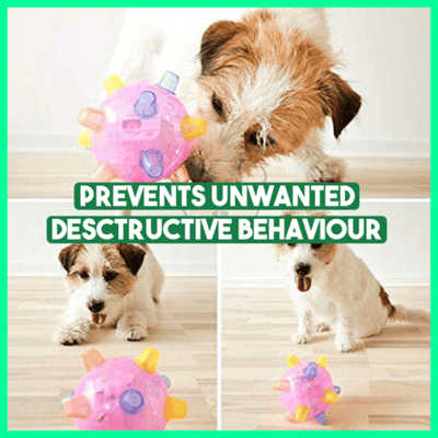 Joyful Jumps – The Ultimate Playtime Ball for Dogs