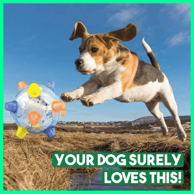 Joyful Jumps – The Ultimate Playtime Ball for Dogs