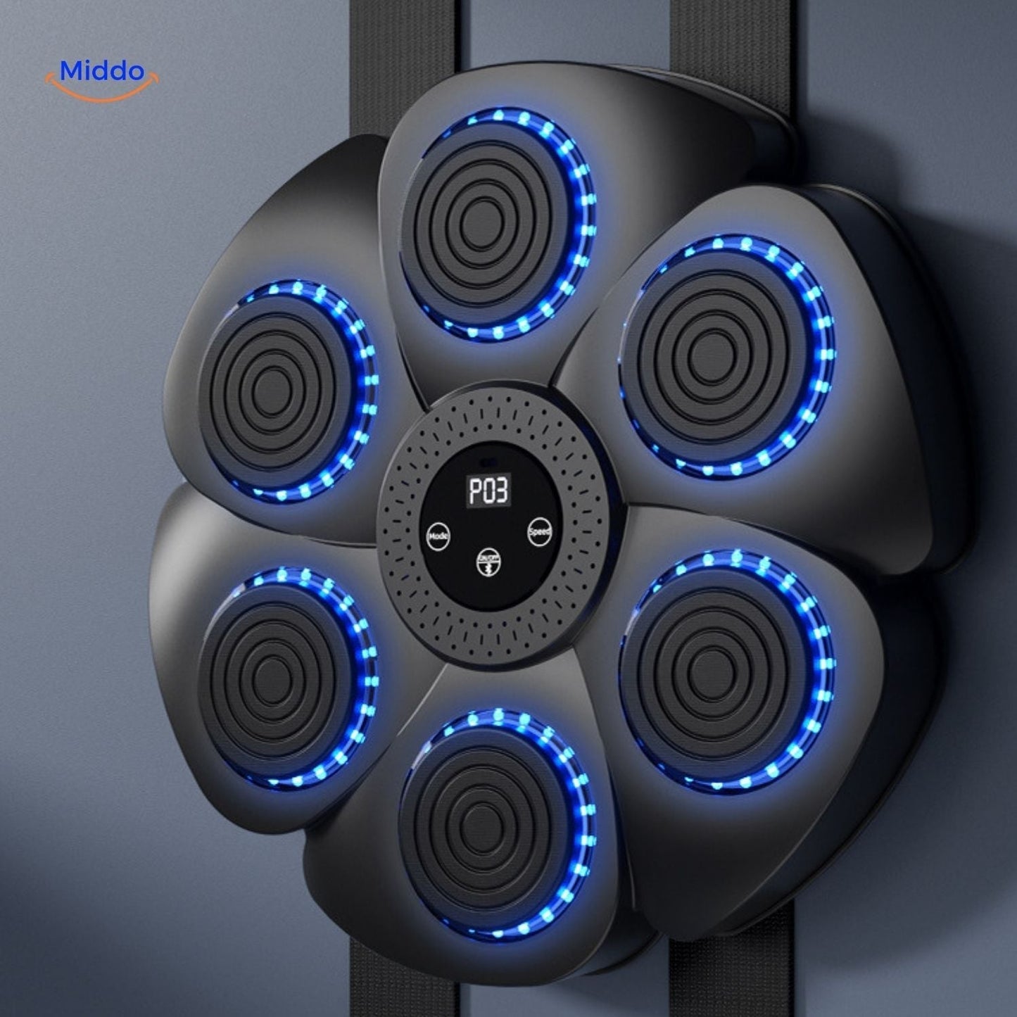 FitFun Music Box | Playful Fat Burning for the Whole Family