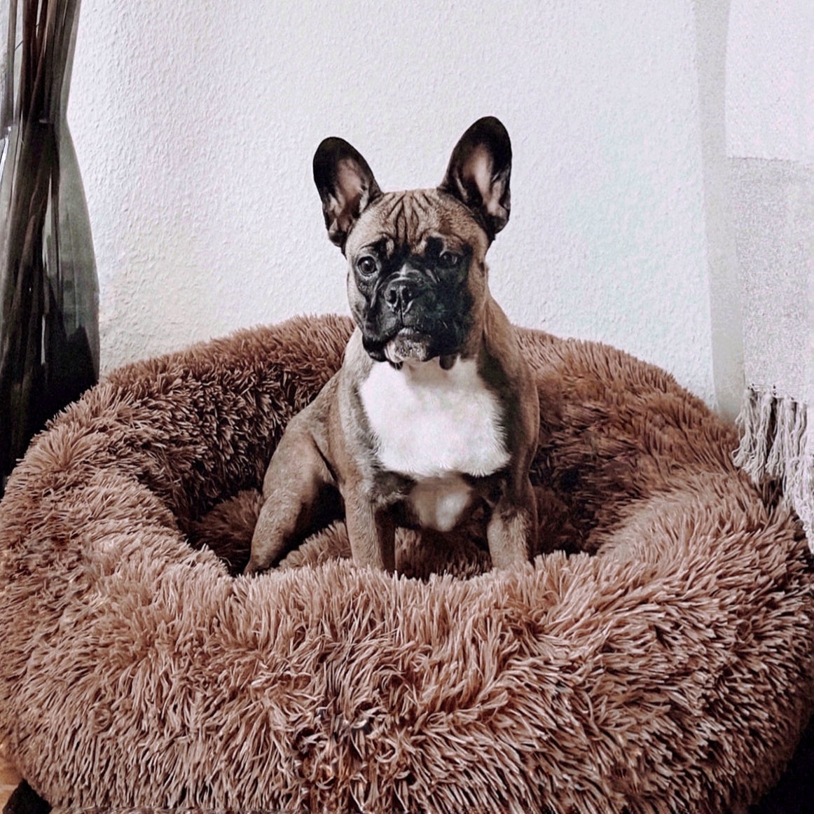 Orthopedic Plush Dog Bed – FluffyNest Comfort Sleeping Cushion